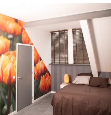 House of Tulips